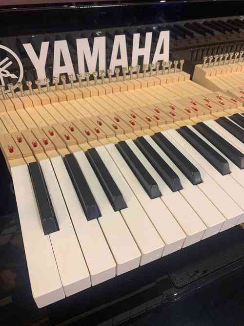 ​夫夫老师流行键盘下载｜钢琴即兴伴奏教学合集