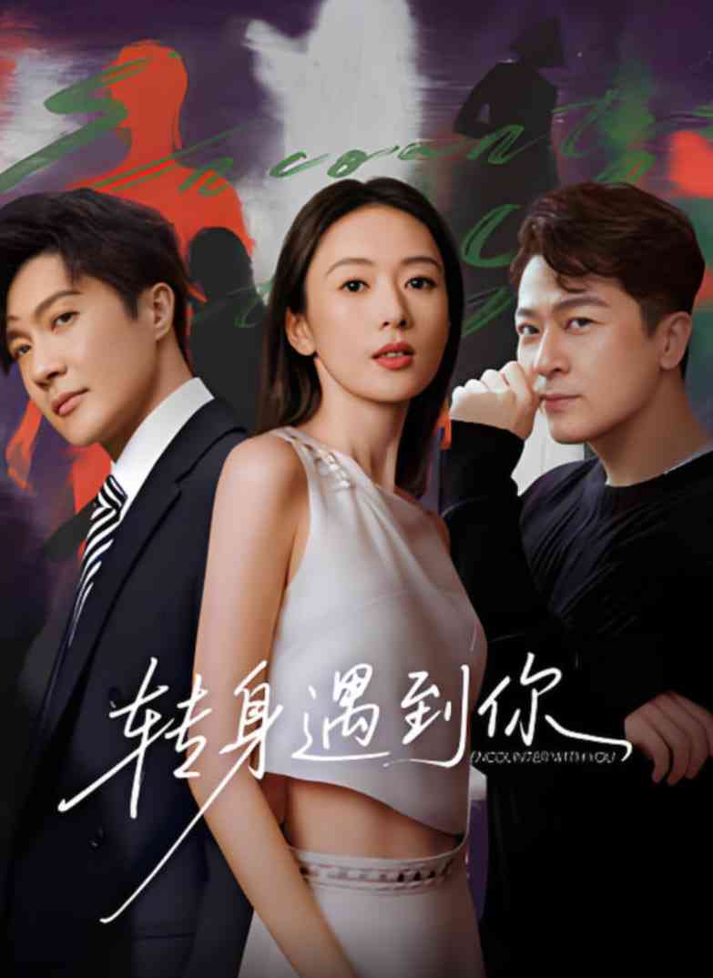 《转身遇到你》免费在线播放｜动作·中国大陆