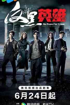 《反黑英雄 普通话版》免费在线播放｜剧情,动作,爱情,犯罪,香港剧,港澳