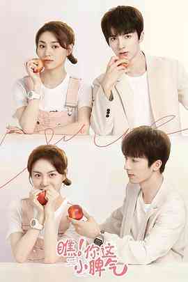 《瞧！你这小脾气》免费在线播放｜内地,国产·中国大陆