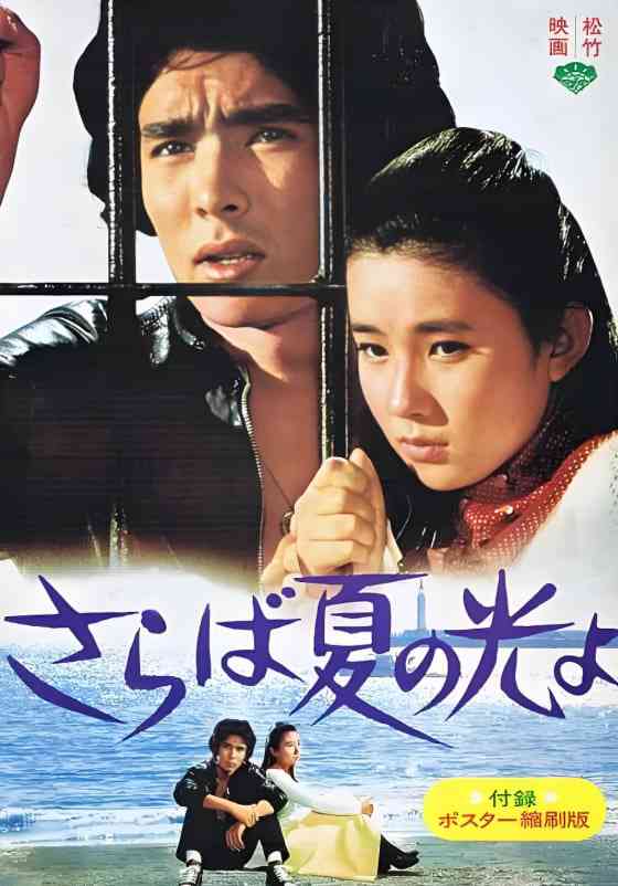 《再见，夏日之光》免费在线播放｜剧情,爱情·日本