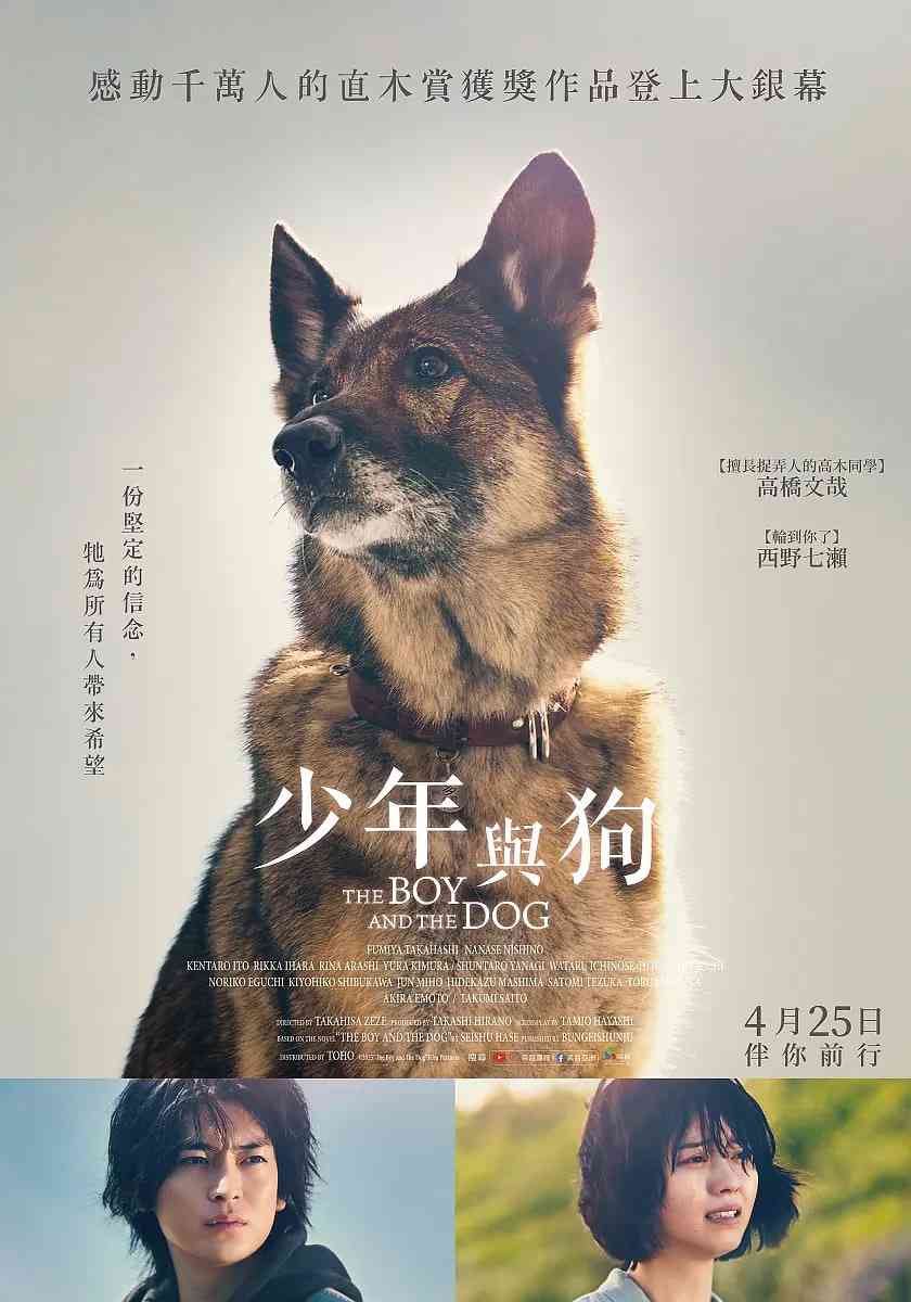 《少年与犬》免费高清无广告在线播放|剧情·日本·2025