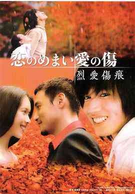 《烈爱伤痕》免费高清无广告在线播放|剧情,爱情,香港剧,港澳·中国香港·2001