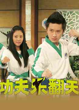 《功夫乐翻天》免费高清无广告在线播放|剧情,儿童·中国大陆·2015