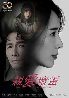 《亲爱坏蛋》免费高清无广告在线播放|剧情·中国台湾·2023  第1张