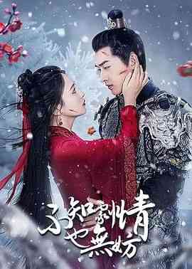 《不知剧情也无妨》免费高清无广告在线播放|剧情,喜剧,爱情,古装·中国大陆·2024