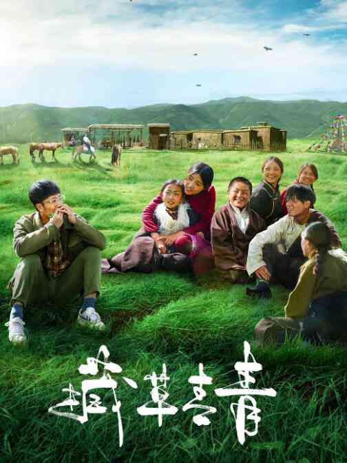 《藏草青青》免费高清无广告在线播放|剧情·中国大陆·2021