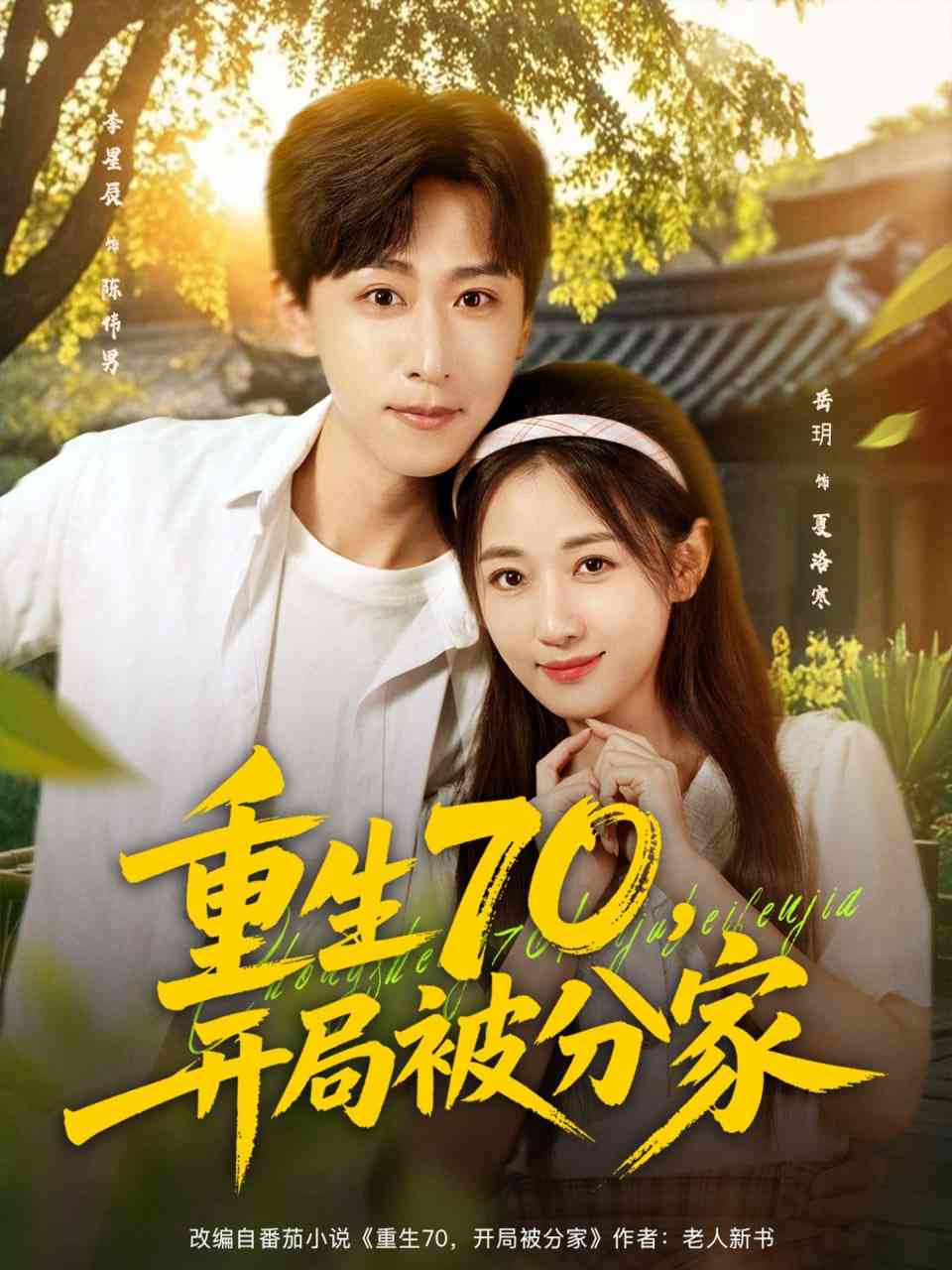 《重生70，开局被分家》免费高清无广告在线播放|短剧·中国大陆·2025