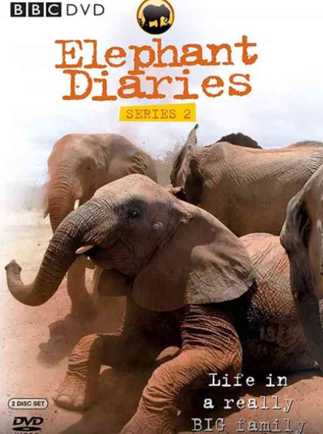 《大象日记 第二季》免费高清无广告在线播放|纪录片·美国·2008