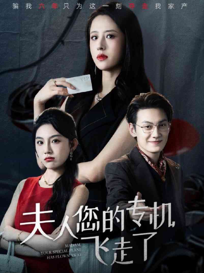 《夫人您的专机飞走了》全集免费高清短剧无广告在线播放|短剧·中国大陆·2025