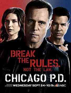 《芝加哥警署 第二季》全集免费高清电视剧无广告在线播放|剧情,动作·美国·2014