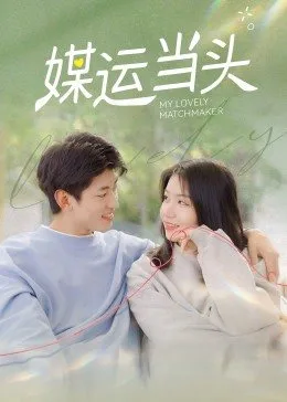 《媒运当头》全集免费高清电视剧无广告在线播放|内地,国产·大陆·2022