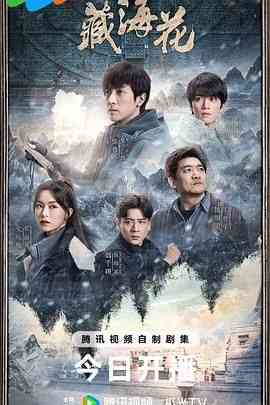 《藏海花》全集免费高清电视剧无广告在线播放|剧情,悬疑,冒险·中国大陆·2024