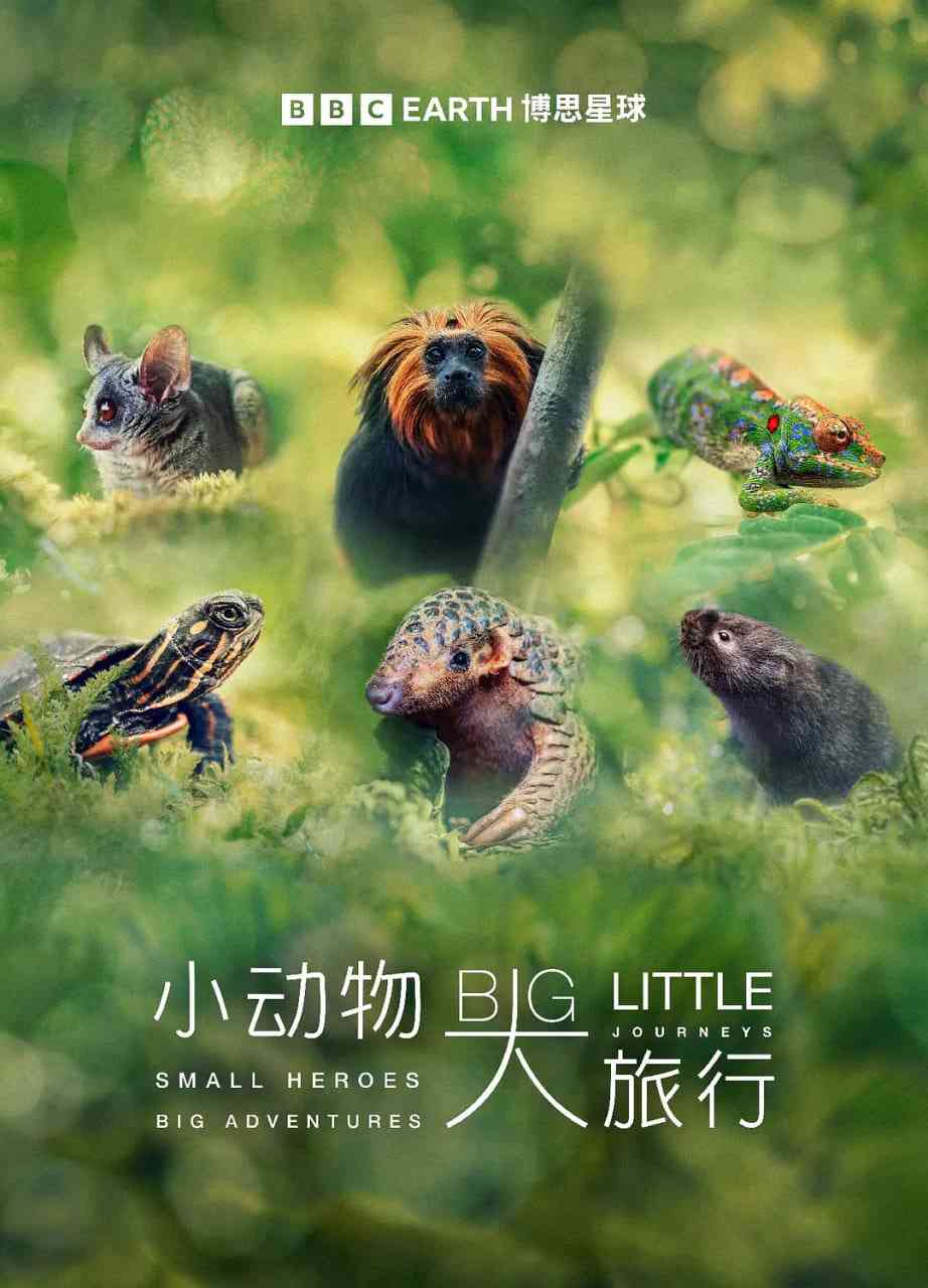 《小动物 大旅行 第一季》最新免费高清电影无广告在线播放|纪录片·英国·2023