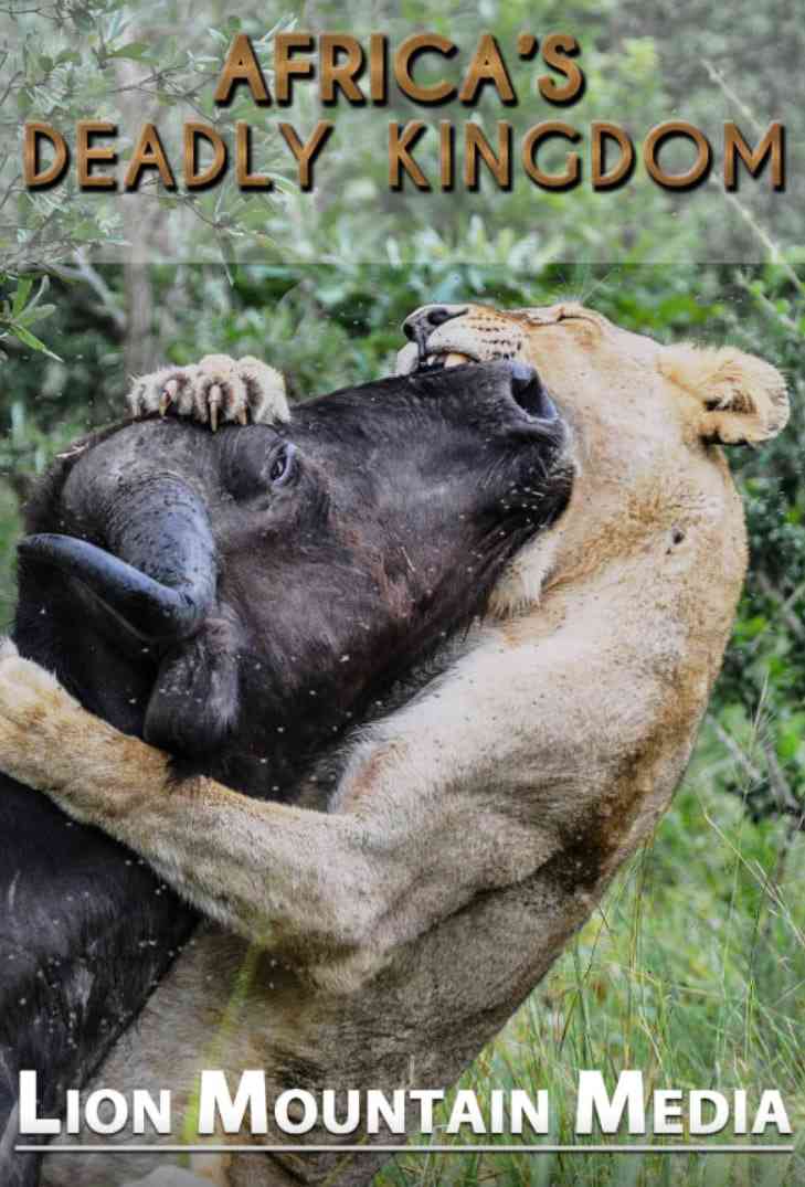 《非洲致命国度》最新免费高清电影无广告在线播放|纪录片·南非·2018