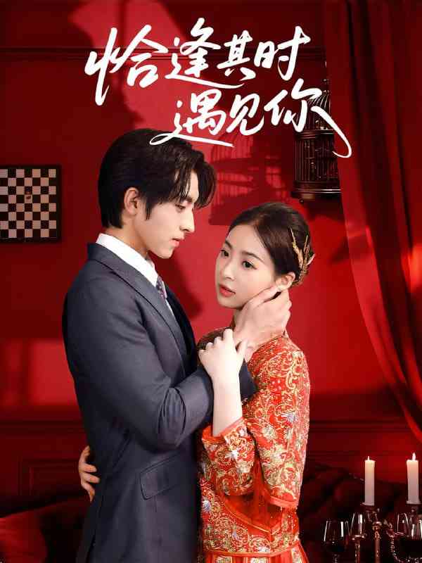 《恰逢其时遇见你》全集免费高清短剧无广告在线播放|短剧·中国大陆·2025  第1张