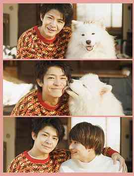 《爱你汪汪》全集免费高清电视剧无广告在线播放|日剧·日本·2023