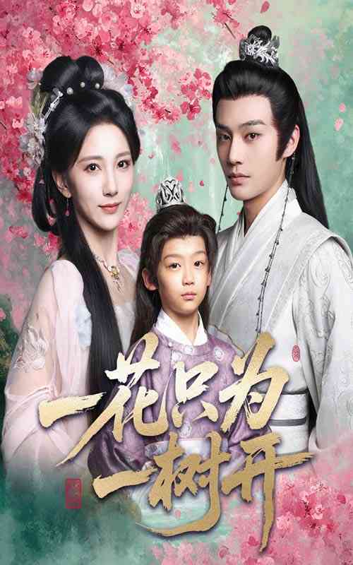 《一花只为一树开》全集免费高清短剧无广告在线播放|短剧·中国大陆·2025