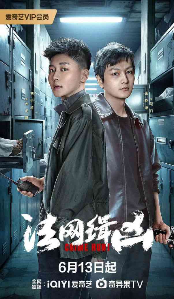 《法网缉凶》全集免费高清电视剧无广告在线播放|剧情,犯罪·中国大陆·2025