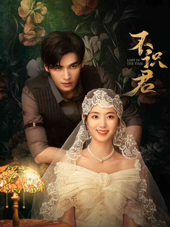 《不识君》全集免费高清电视剧无广告在线播放|剧情·中国大陆·2025