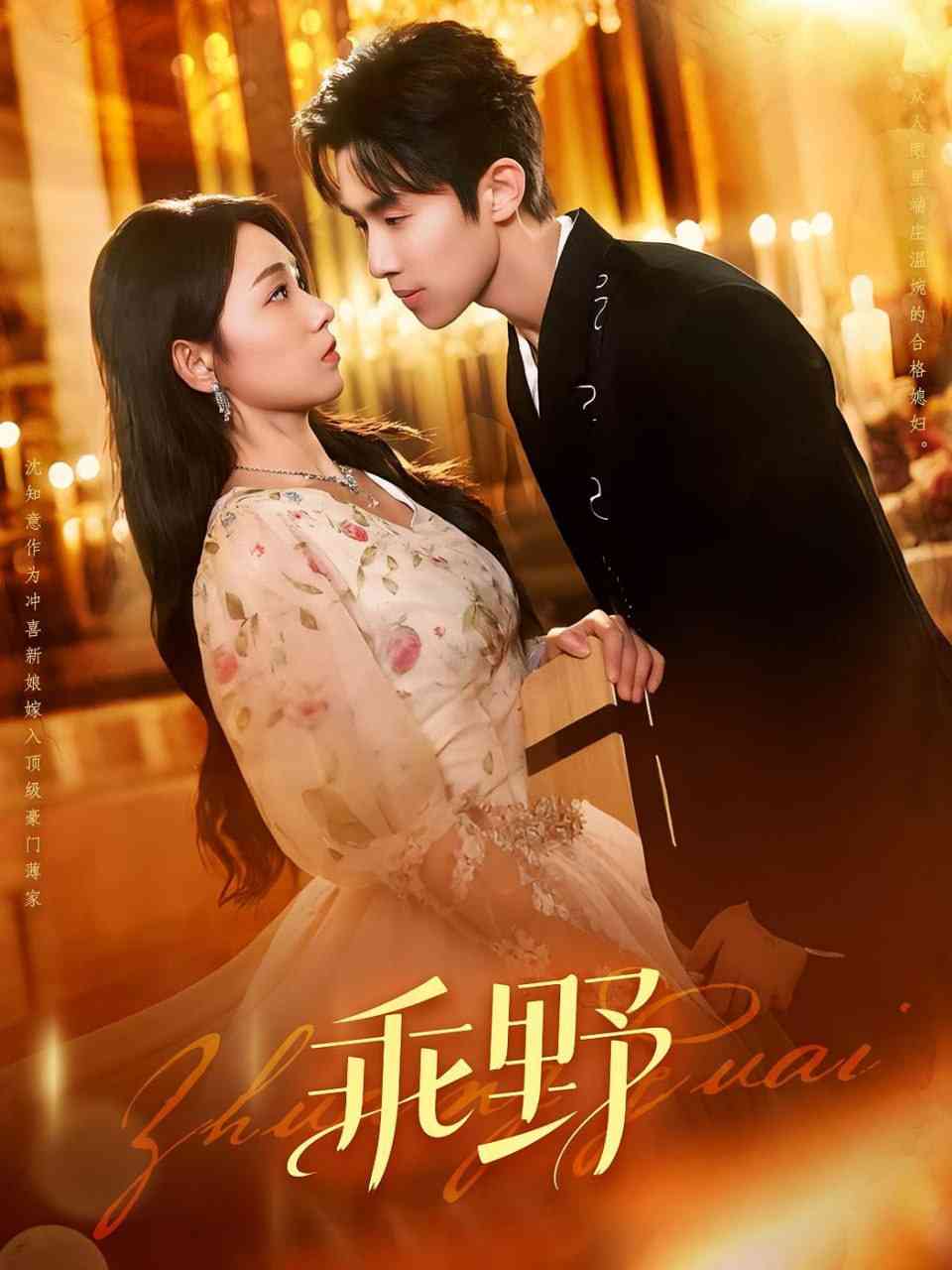 《乖野》全集免费高清短剧无广告在线播放|短剧·中国大陆·2025