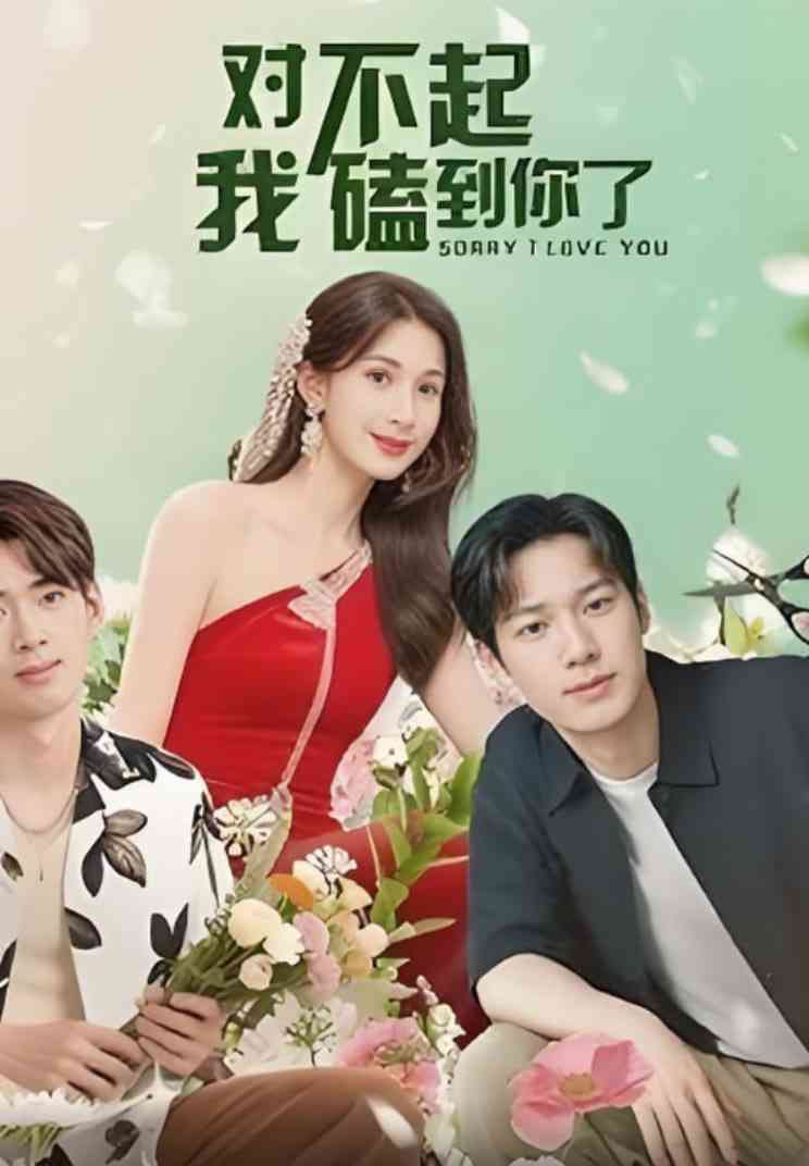 《对不起我磕到你了》全集免费高清短剧无广告在线播放|短剧·中国大陆·2025