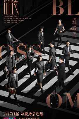 《盛装》全集免费高清电视剧无广告在线播放|剧情·中国大陆·2022