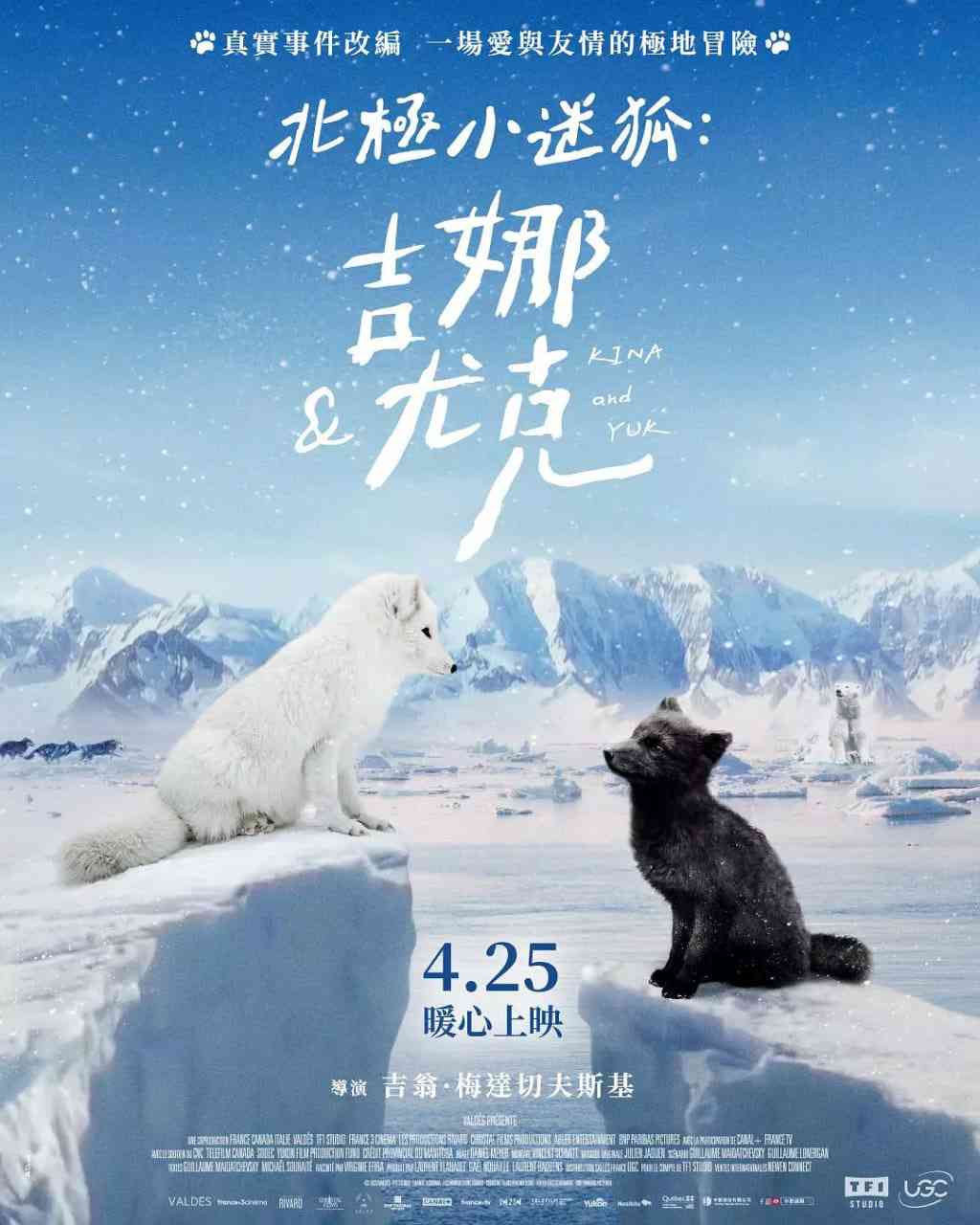 《北极小迷狐吉娜，尤克》最新免费高清电影无广告在线播放|纪录片·法国·2023