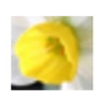 《阿卢国际音标v1.1.4.237》软件免费下载|系统工具·1.1.4.237