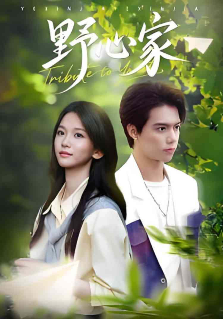 《野心家》全集免费高清短剧无广告在线播放|短剧·中国大陆·2025