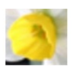 《阿卢国际音标v1.1.4.238》软件免费下载|系统工具·1.1.4.238