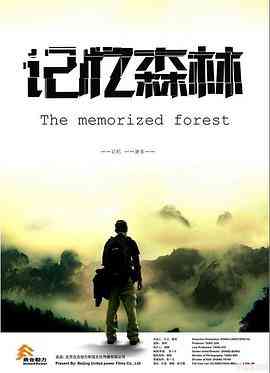 《记忆森林》最新免费高清电影无广告在线播放|剧情·中国大陆·0  第1张
