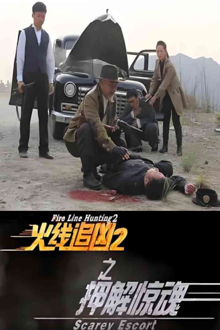 《火线追凶2之押解惊魂》最新免费高清电影无广告在线播放|剧情,犯罪·中国大陆·2013  第1张