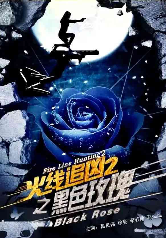 《火线追凶2之黑色玫瑰》最新免费高清电影无广告在线播放|犯罪·中国大陆·2013  第1张