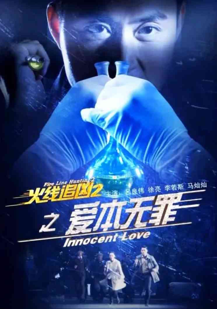 《火线追凶2之爱本无罪》最新免费高清电影无广告在线播放|剧情,犯罪·中国大陆·2013  第1张