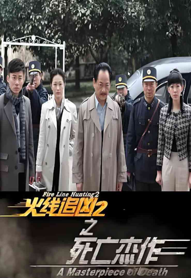 《火线追凶2之死亡杰作》最新免费高清电影无广告在线播放|剧情,犯罪·中国大陆·2013  第1张