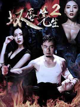 《坏蛋先生2》最新免费高清电影无广告在线播放|剧情·中国大陆·2017  第1张