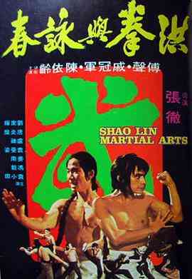 《洪拳与咏春》最新免费高清电影无广告在线播放|动作·中国台湾·1974  第1张