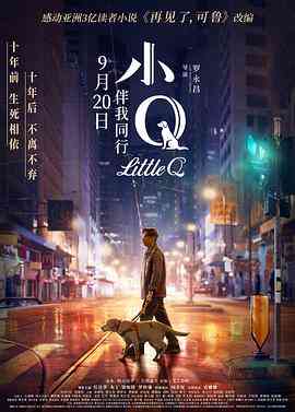 《小Q 国语版》最新免费高清电影无广告在线播放|剧情·中国大陆·2019  第1张