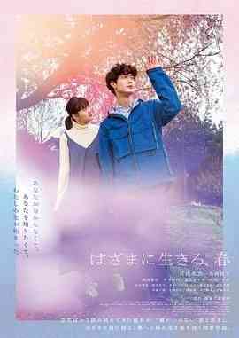 《夹缝中活着 小春》最新免费高清电影无广告在线播放|剧情,爱情·日本·2023  第1张