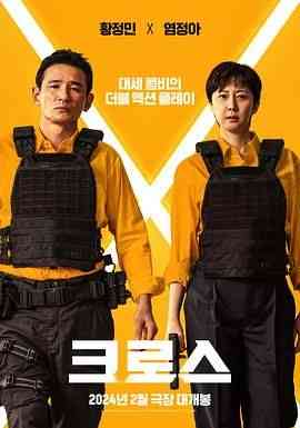《跨界任务》最新免费高清电影无广告在线播放|动作,喜剧·韩国·2024  第1张