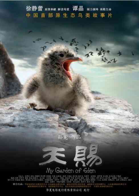 《天赐》最新免费高清电影无广告在线播放|纪录·中国大陆·2010  第1张