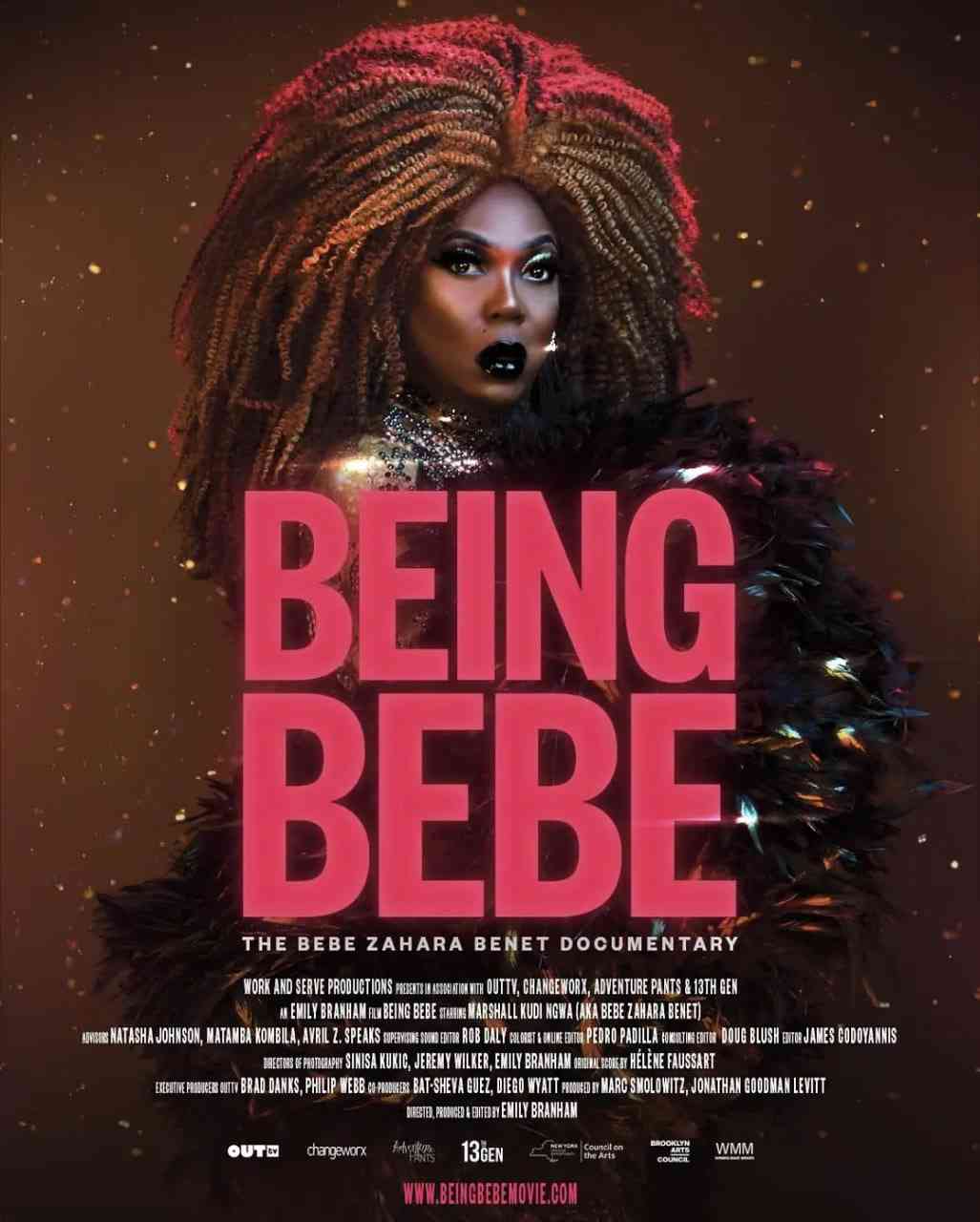 《成为 BeBe》最新免费高清电影无广告在线播放|纪录片·美国,喀麦隆·2021  第1张