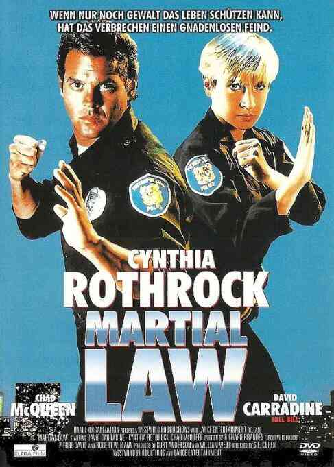 《卧底飞龙》最新免费高清电影无广告在线播放|动作·美国·1991  第1张