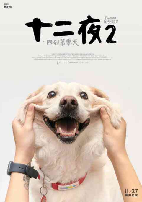 《十二夜2：回到第零天》最新免费高清电影无广告在线播放|纪录片·中国台湾·2020  第1张