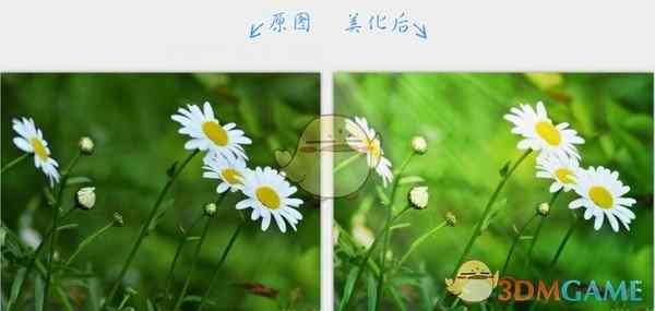 《2345看图王》最新版》软件免费下载|主题美化·8.0.1.8.20  第2张