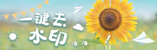 《风云水印管家》最新版》软件免费下载|主题美化·2020.711 第2张 《风云水印管家》最新版》软件免费下载|主题美化·2020.711 第2张