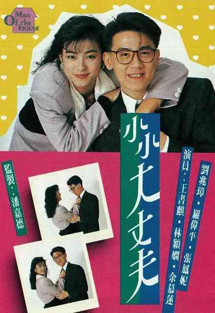 《小小大丈夫》全集免费高清电视剧无广告在线播放|喜剧,家庭·中国香港·1988  第1张