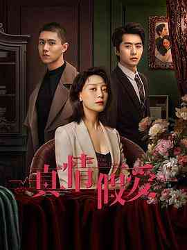 《真情假爱》全集免费高清电视剧无广告在线播放|剧情,家庭·中国大陆·2023  第1张