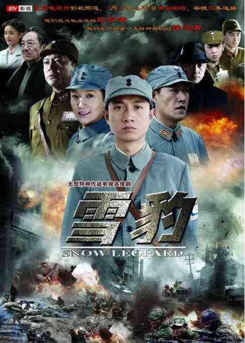 《雪豹》全集免费高清电视剧无广告在线播放|内地,国产·中国大陆·2010  第1张